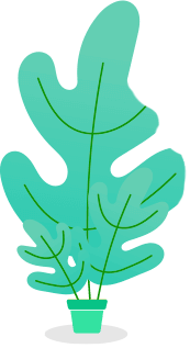 shape